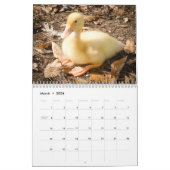 Das Gehen duckt Kalender 2015 (Mär 2026)