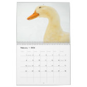 Das Gehen duckt Kalender 2015 (Feb 2026)