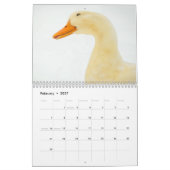Das Gehen duckt Kalender 2015 (Feb 2027)