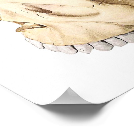 Das Gehirn im Schädel Poster (Ecke)