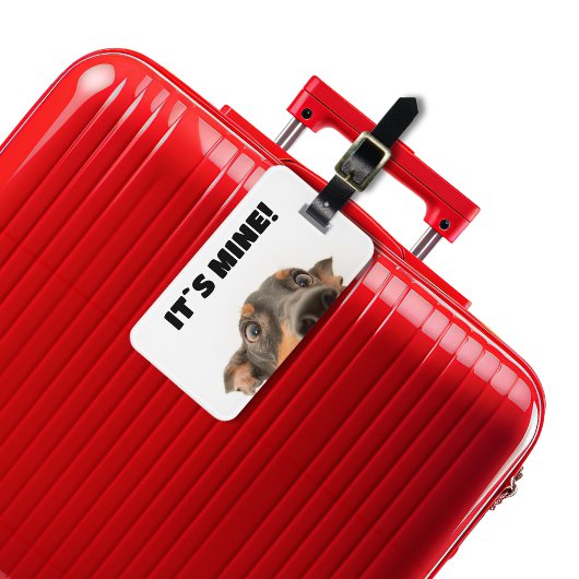 Das gehört mir! Hundebiss-Foto Gepäckanhänger