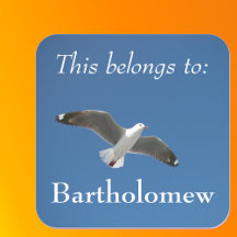 Das gehört zum Blue Sky Seagull-Foto