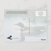 Das gemeinsame Loon-Nest in Alaska Postkarte (Rückseite)