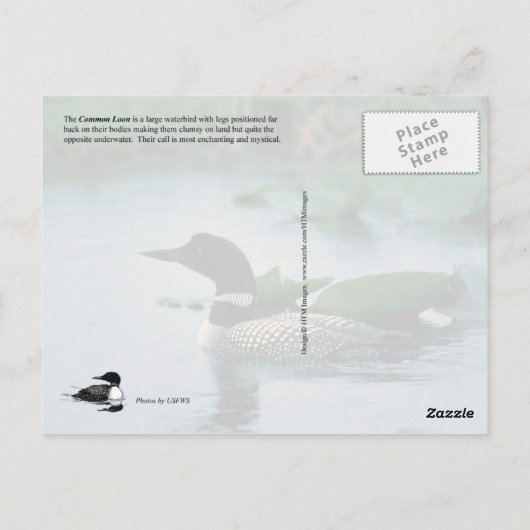 Das gemeinsame Loon-Nest in Alaska Postkarte (Rückseite)