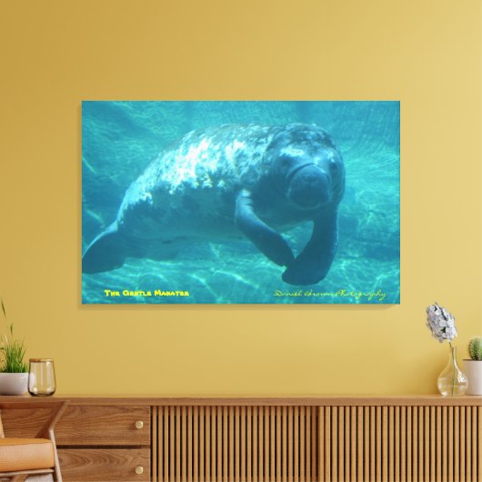Das Gentle Manatee Leinwanddruck (Insitu (Wohnzimmer))
