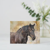 Das Gentle One, ein Zugpferd Postkarte (Stehend Vorderseite)