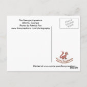 Das Georgien-Aquarium - Postkarte (Rückseite)