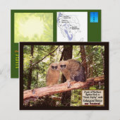 DAS GEPUNKTETE EIGENTUM: POSTCARD #2 POSTKARTE (Vorne/Hinten)