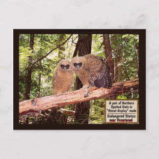 DAS GEPUNKTETE EIGENTUM: POSTCARD #2 POSTKARTE