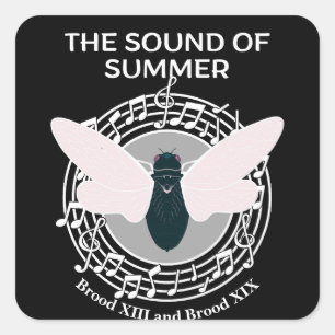 Das Geräusch des Sommers Cicada Brood Quadratischer Aufkleber