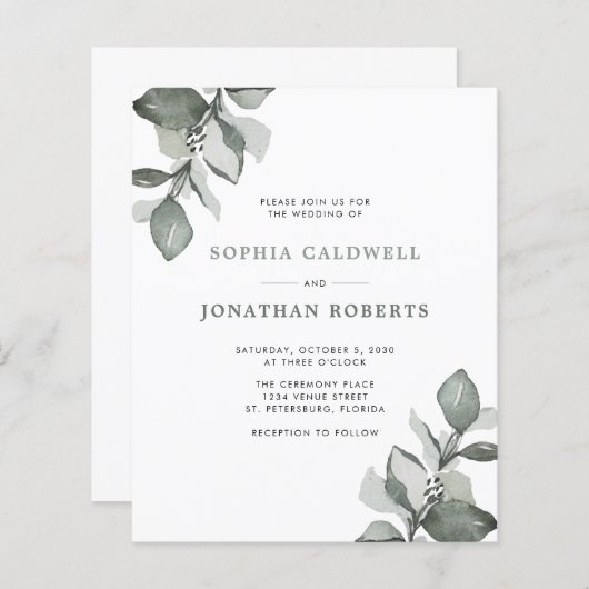 Das gesamte Budget für eine dusty grüne Eukalyptus (Vorne/Hinten)