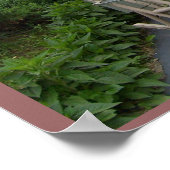 Das gesamte Gesetz wird in einem Bibelangebot zusa Poster (Ecke)