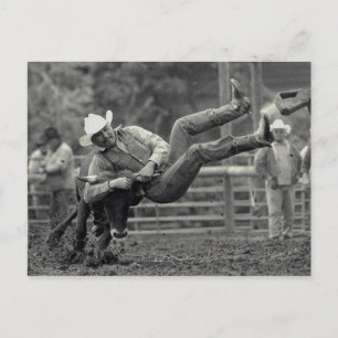 Das gesamte indische Rodeo im Tal von Tygh, Oregon Postkarte