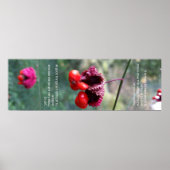 Das gesamte Schema der Dinge Poster (Vorne)