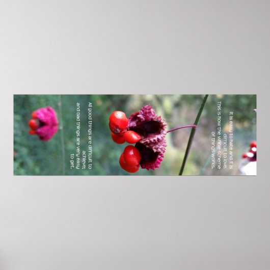 Das gesamte Schema der Dinge Poster (Vorne)