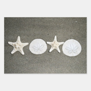 Das Geschenkpapier für Beach X's und O's Set