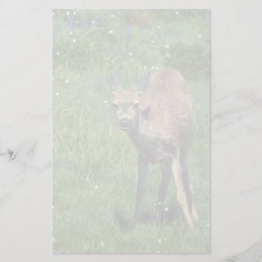 Das Gesicht Briefpapier (Vorderseite)