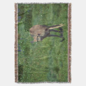 Das Gesicht Decke (Vorderseite Vertikal)