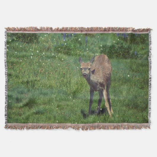 Das Gesicht Decke (Vorderseite)