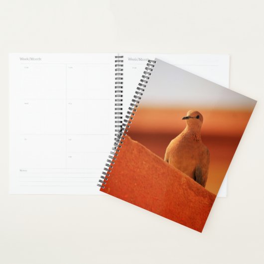 Das Gesicht des Entschlossenheit-Notebooks Planer (Anzeige)