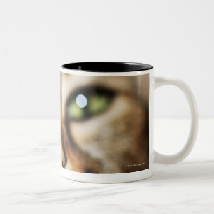 Das Gesicht einer Katze Zweifarbige Tasse