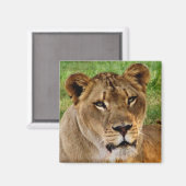 Das Gesicht einer Königin Magnet (Vorderseite/Rückseite)