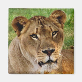 Das Gesicht einer Königin Magnet