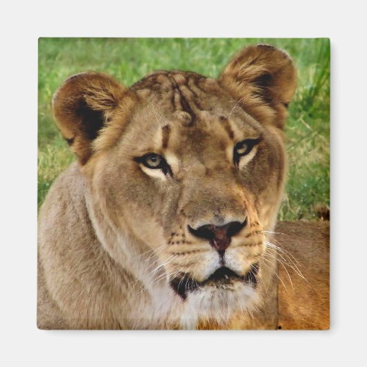 Das Gesicht einer Königin Magnet (Vorne)