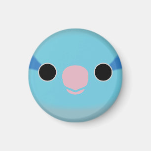 Das Gesicht eines blauen männlichen Pazifik-Sperli Magnet