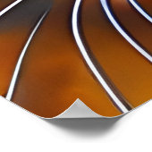 Das Gesicht eines niedlichen Lynx-Punktes Siam Poster (Ecke)