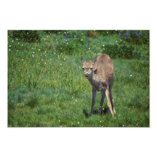 Das Gesicht Fotodruck (Vorne)
