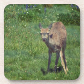 Das Gesicht Getränkeuntersetzer (Vorderseite)