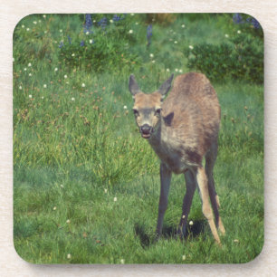 Das Gesicht Getränkeuntersetzer