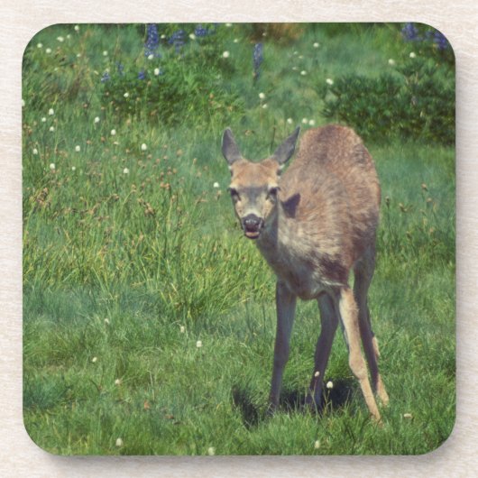 Das Gesicht Getränkeuntersetzer (Vorderseite)