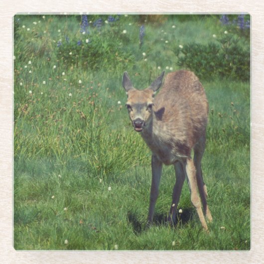 Das Gesicht Glasuntersetzer (Vorderseite)