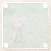 Das Gesicht Glasuntersetzer (Rückseite)