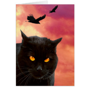 Das Gesicht Halloween-Katze