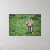 Das Gesicht Leinwanddruck (Vorderseite)