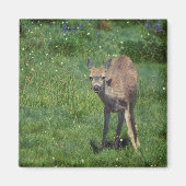 Das Gesicht Magnet (Vorne)