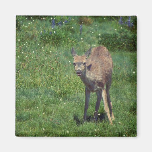 Das Gesicht Magnet (Vorne)