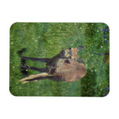 Das Gesicht Magnet (Horizontal)