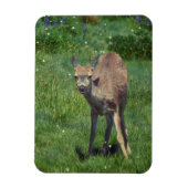 Das Gesicht Magnet (Vertikal)