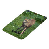 Das Gesicht Magnet (Linke Seite)