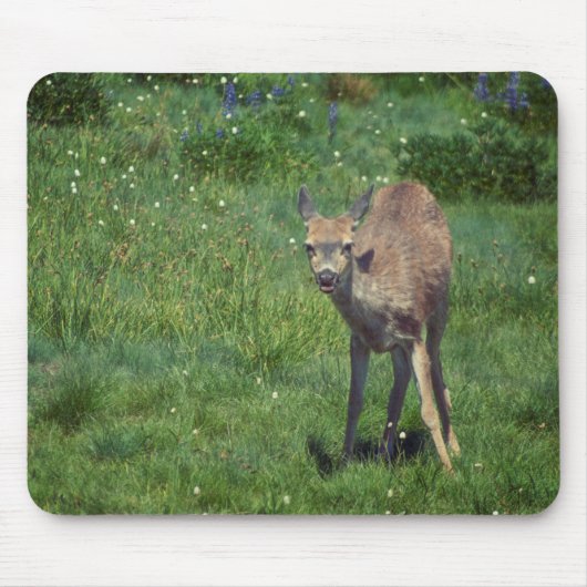 Das Gesicht Mousepad (Vorne)