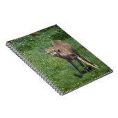 Das Gesicht Notizblock (Rechte Seite)