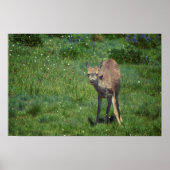 Das Gesicht Poster (Vorne)