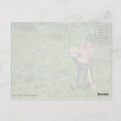 Das Gesicht Postkarte (Rückseite)