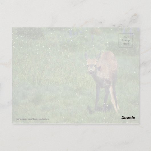 Das Gesicht Postkarte (Rückseite)