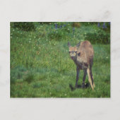 Das Gesicht Postkarte (Vorderseite)