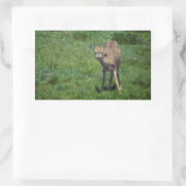 Das Gesicht Rechteckiger Aufkleber (Tasche)